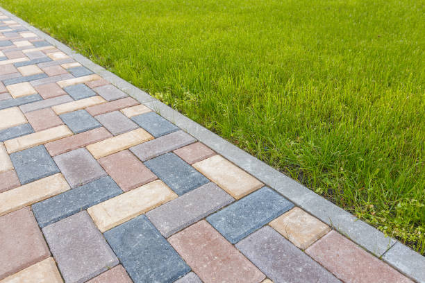 Best Driveway Paving Contractor  in Daly City, CA